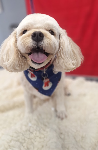 Linda’s Magic Wand Pet Salon