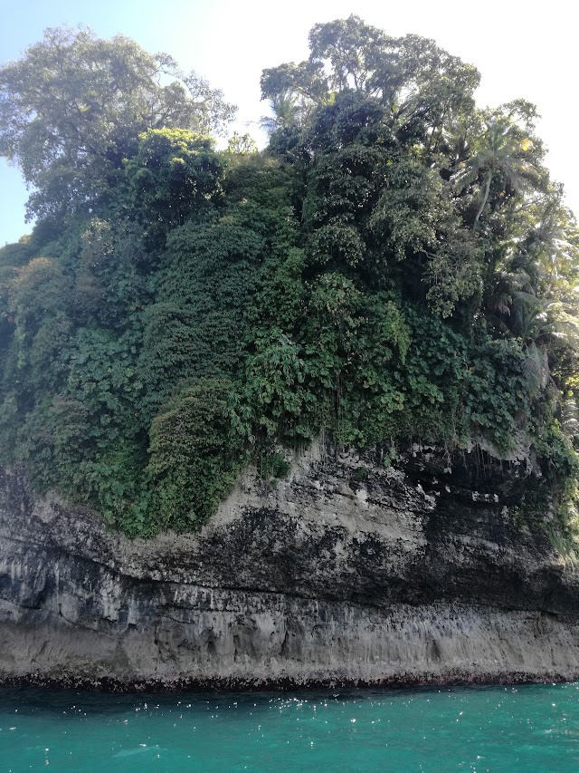 Bird Island