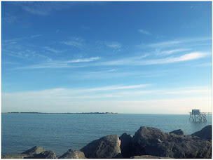 Photo n°32 de La Petite Cale d'Aytré à Aytré (Restaurant de fruits de mer)