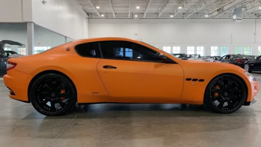 Magee Exotics - Visual