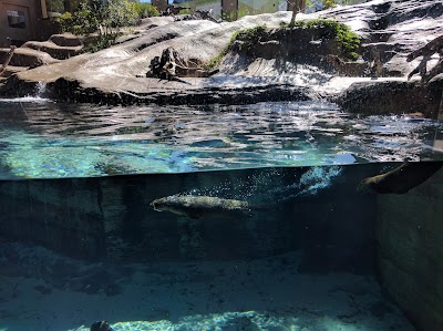 Photos of Mote Marine Laboratory & Aquarium