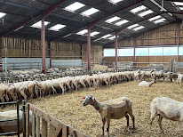 Bergerie & Ferme du brühl à Fixem