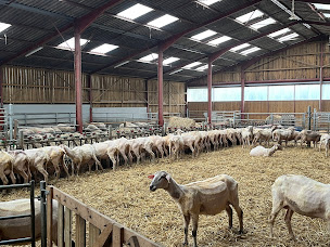 Photo n°1 de Bergerie & Ferme du brühl à Fixem (Ferme d'élevage)