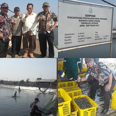Photos of Lahan Udang Ramidi