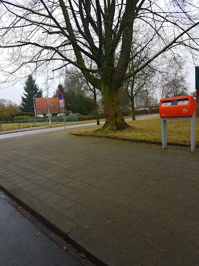 Photos of Dr Herderscheeschool