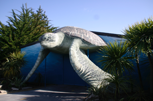 Nautilus Attraction Developments - Visual
