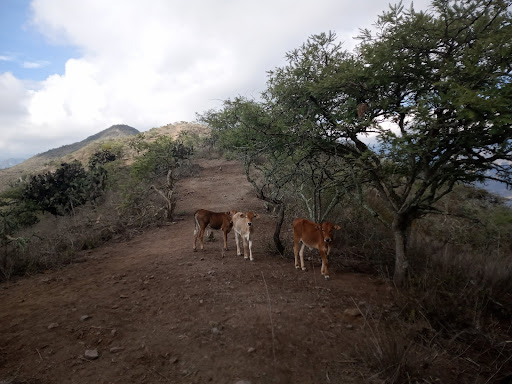 Cerro de San Jeronimo - Thumbnail
