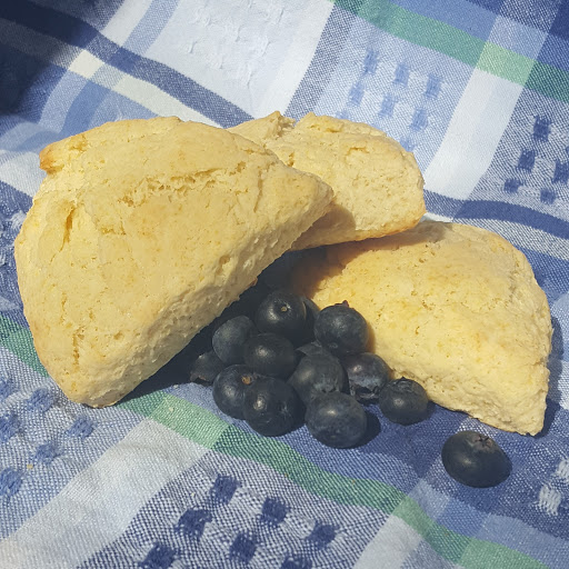 SendScones - Visual
