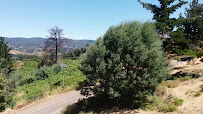 Opiniones de Viaducto Del Malleco, Collipulli en Collipulli - Museo