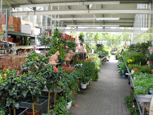 hagebaumarkt Greven - Thumbnail