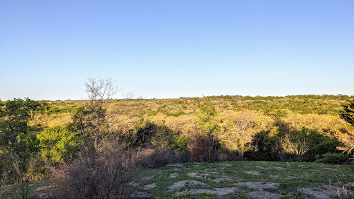 LBJ Grasslands - Visual