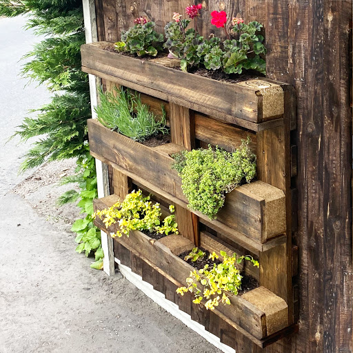 Pallet Planter UK - Thumbnail