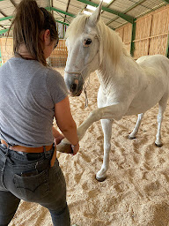 Photo n°4 de Ostéopathes Animalier Justine Cordier et Perrine Marcel-Millet à Oyonnax (Ostéopathe)