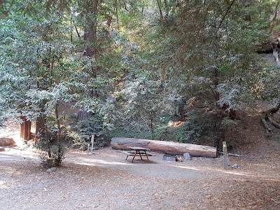 Photos of Fernwood Campground and Resort