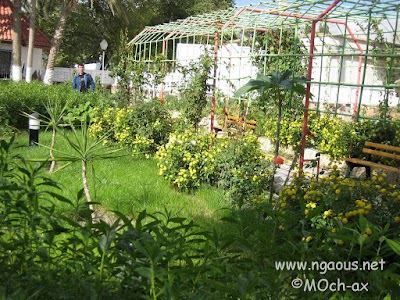 Photos of N'Gaous Garden