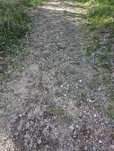 Hammock Hill Reserve - Thumbnail