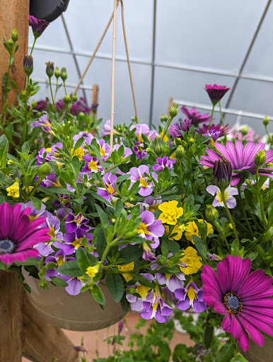Hosta Stop Gardens, LLC - Thumbnail