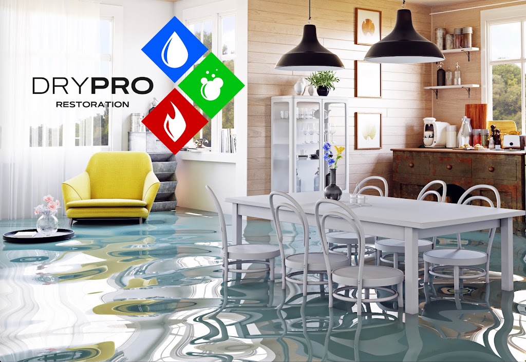 Water Damage & Mold by Drypro photo
