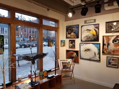 Seacoast Artist Association