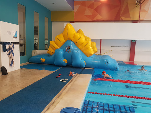 Family Sport Center Sportif - Thumbnail