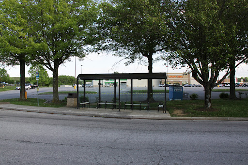 Laurel/Sycamore - Visual