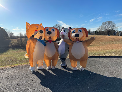 Powell Animal Hospital Gallery - United States