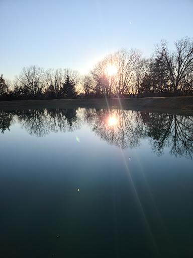 Ely Manor - Visual