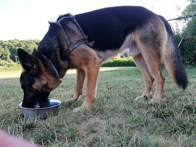 Danbury Dog Park