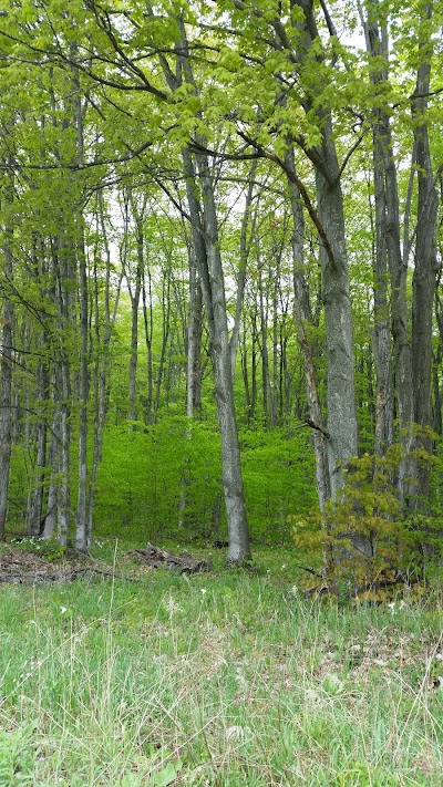 Photos of Goodhart Farms Nature Preserve