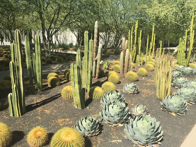 Sunnylands Center & Gardens