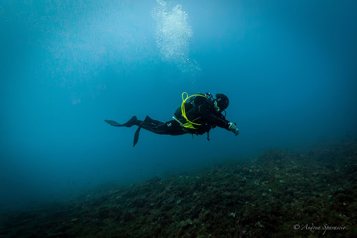 Gnu Diving Salento - Visual