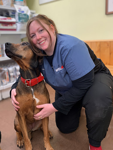 VCA Canada Scarborough Animal Hospital - Thumbnail