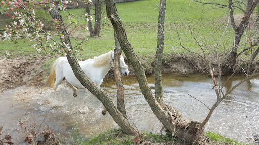 Stonebrook Farm Inc - Thumbnail