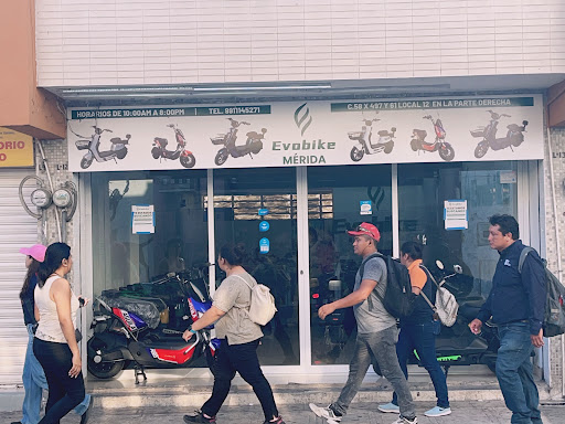 Evobike Merida - Visual