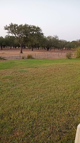 Avaliações doMonte das Faias Cork Farm Hotel em Grândola - Hotel