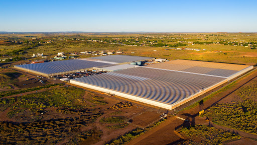 Copperstate Farms, LLC