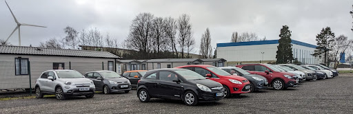 Avid Motors