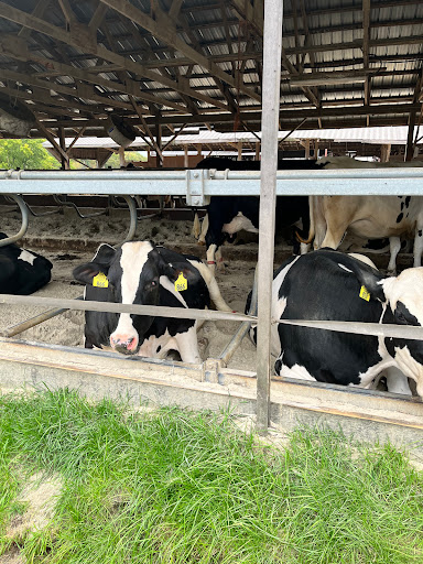 Wright's Dairy Farm and Bakery Gallery - United States
