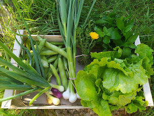 Photo n°4 de Le MonS'Emerveille à Marcillac-la-Croisille (Ferme pédagogique)