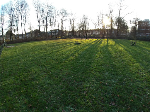 Honden uitrenveld - Thumbnail