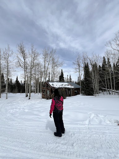 Breckenridge Snowmobile - ATV Tours & Rentals by HCT - Thumbnail