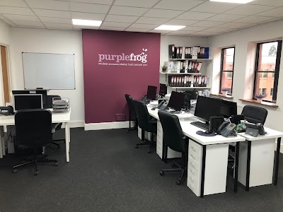 Purple Frog Head Office