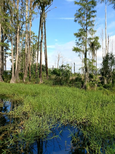 Santa Fe Swamp Conservation Area