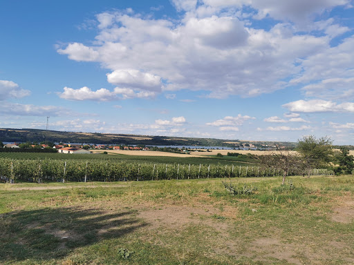 Salziger See Gallery - Germany