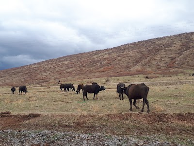 Budaklı Kaplıcaları