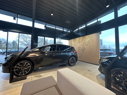 Senger Holstein GmbH - Cupra - Thumbnail