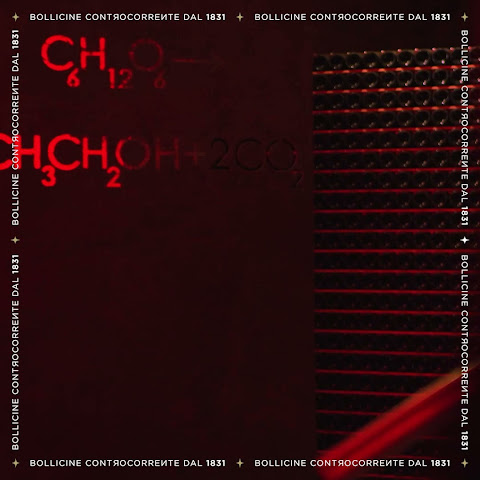 Cantine Bosca by null