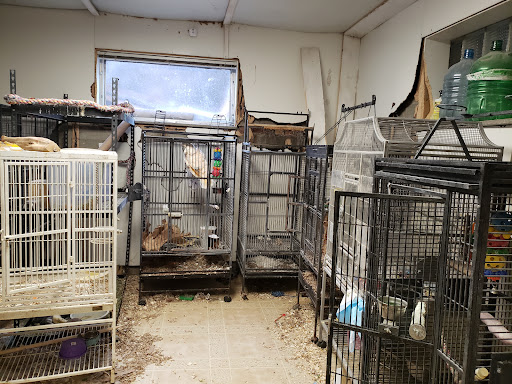 Jayden's Jungle Exotic Pet Store Gallery - United States