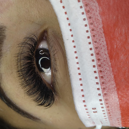 Study Lash PM - Visual