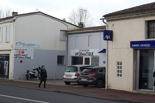 LESTECHNICIENS Informatique
